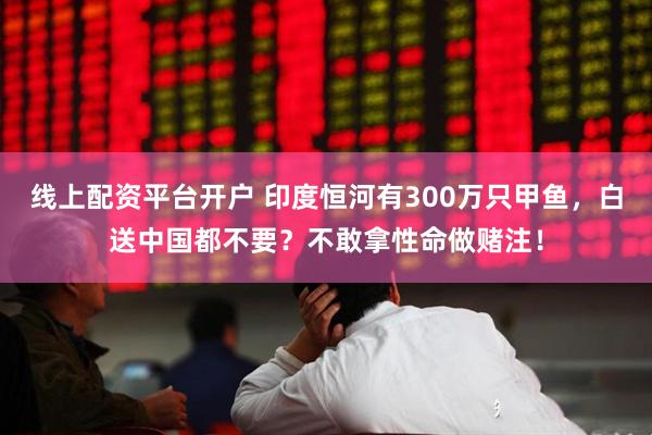 线上配资平台开户 印度恒河有300万只甲鱼，白送中国都不要？不敢拿性命做赌注！